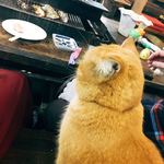 かき焼き 塩見園 - 