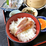 いわし料理 円芯 - 