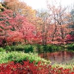 Paomu Karuizawa - 雲場池