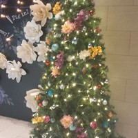 リュクス ダイニング ハプナ - 