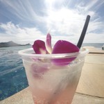 The Edge of Waikiki - 