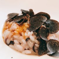 サーラ アマービレ - ラデイッキオとタレッジョチーズのリゾット 豚肉の煮込み トリュフ添え