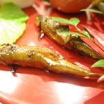 日本料理 太月 - 本モロコの炭火焼