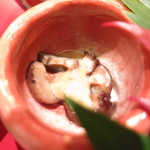 日本料理 太月 - 秋田県産なまこ