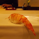 鮨　いの - 車海老