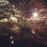うかい鳥山 - 