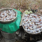 にぐるまやダイニング - 外観