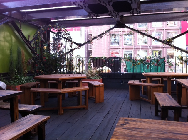 Dublin garden photo 5