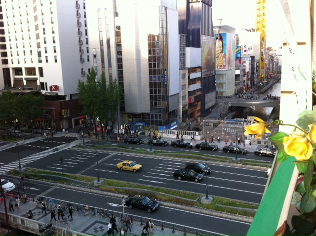 Dublin garden photo 4