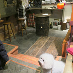 OSTERIA dieci - お向かいのワンちゃんも気になります・・♡