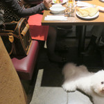 OSTERIA dieci - そこはお隣のテーブルよ！