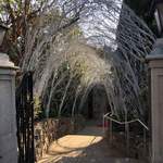 あざみ野うかい亭 - 