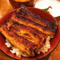 吉寅 - 