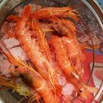 みなと市場 小松鮪専門店 - 「特大赤えび」