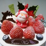 ル・パティシエ・ミエル - クリスマスケーキ、ちょっとアップで