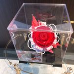 シャトー　ラ・パルム・ドール - 