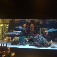 鉄板DINING集 栄店 - 