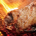 Izakaya Odawara Tarou - 