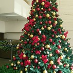 サンス・エ・サヴール - 丸ビルのクリスマスツリー