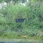 ア・マ・ファソン - 宿の道標