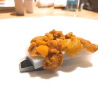 bb9 - 