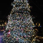 グリップ オーガニック - 