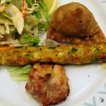 インド料理 ショナ・ルパ - サラダ、タンドリーチキン、サモサ、シシカバブ