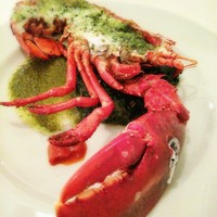 ナプレ 横浜高島屋店 - 