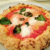 ナプレ 横浜高島屋店 - 