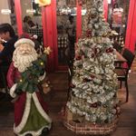 キャプテンズクック・アズーロ - 