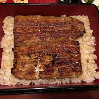 うなぎ割烹 大江戸 - うな重 ながつき