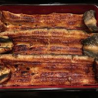 うなぎ割烹 大江戸 - うな重 極上
