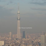 イタリアンダイニング ケシキ - 