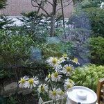 喜茶 ゆうご - 素晴らしいお庭です。