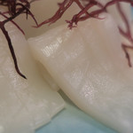 味ごよみ宮田 - ＜生もの＞剣先いか　ズームアップ