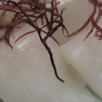 味ごよみ宮田 - ＜生もの＞剣先いか　ズームアップ