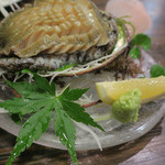 味ごよみ宮田 - ＜生もの＞あわび　ズームアップ