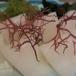 味ごよみ宮田 - ＜生もの＞剣先いか　ズームアップ