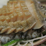 味ごよみ宮田 - ＜生もの＞あわび　ズームアップ