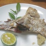 文福 - 鯛のカマの塩焼き