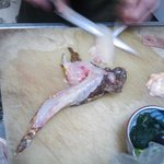 文福 - おこぜ　調理中　結構でかいです