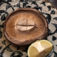 たでの葉 - 