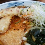 加賀 - ちくわ天、きつね、わかめのうどん