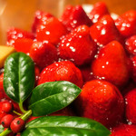 どこを切ってもイチゴ。