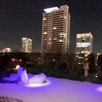 セント レジス ホテル - 夜の和風庭園