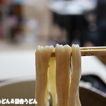 田舎うどん てつ - 胚芽うどん