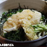 田舎うどん てつ - 揚げ餅ぶっかけ
