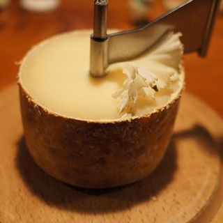 Cheese Bar Shirokuma_2