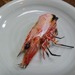 福来魚 - 斬新！頭オンリー！