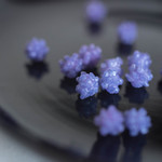 緑寿庵清水 - 巨峰金平糖（きよほうこんぺいたう）